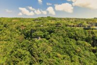 Aerial panorama of lush green cliffs and luxury villas in Bali, Indonesia.