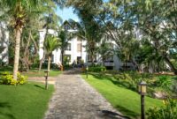 Greenwood Villa Peaceful Luxury Retreat In Nature A lush pathway lined with palm trees leads to a luxurious villa, perfect for a relaxing getaway.