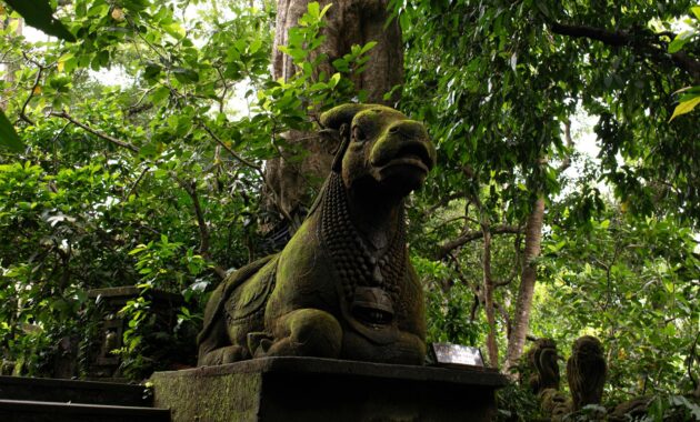 Komaneka At Tanggayuda Luxury Jungle Retreat In Ubud Bali